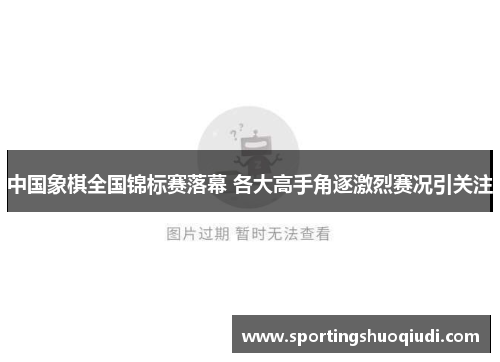 中国象棋全国锦标赛落幕 各大高手角逐激烈赛况引关注